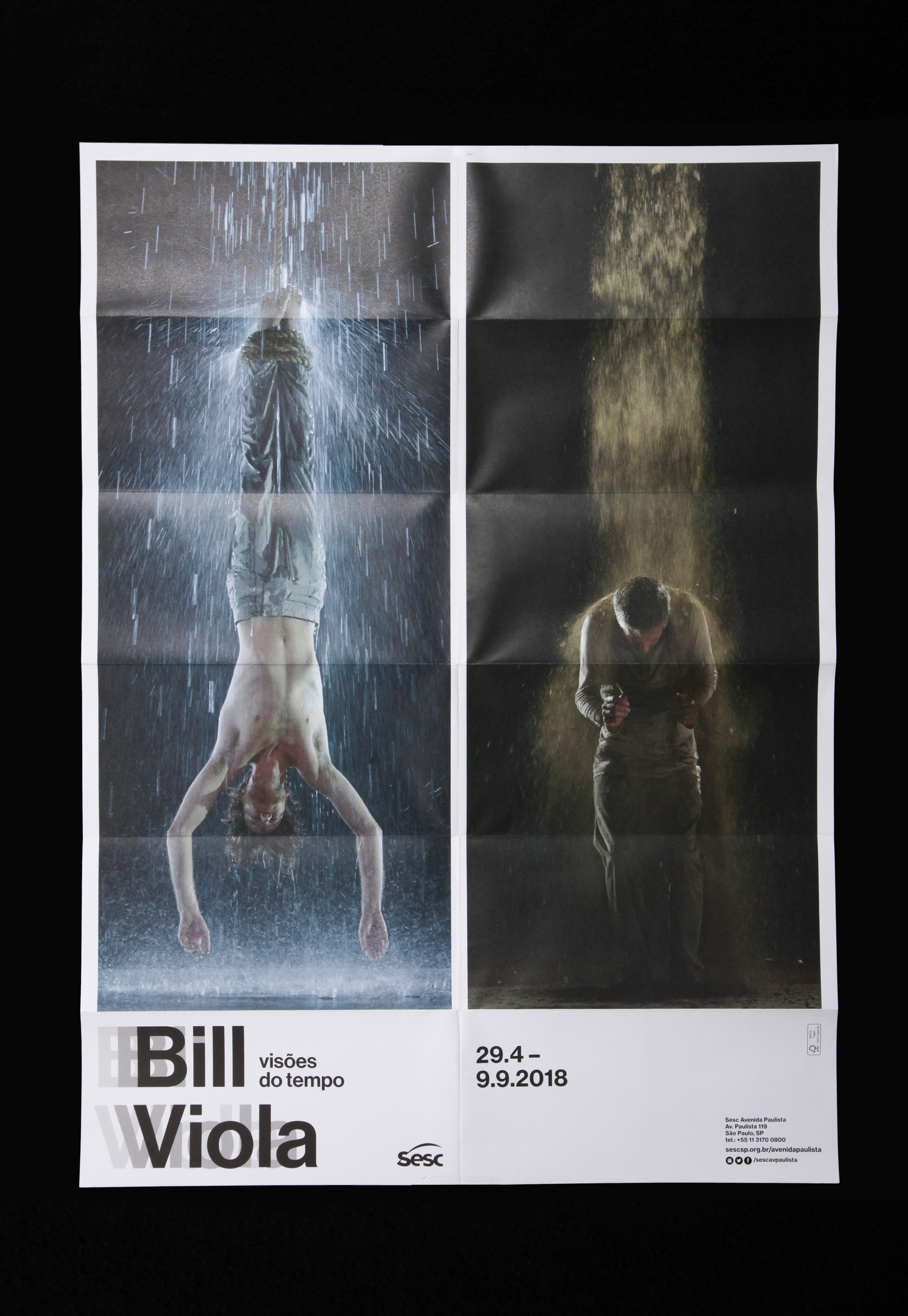 6_bill viola